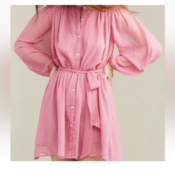 Roller Rabbit Pink belted shirt dress by Roberta Roller Rabbit Evita size M - Picture 5 of 6